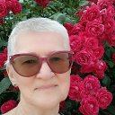 ���� ���, ����, 74 ���� - ��������� 8 ���� 2026