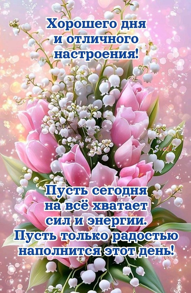   ,    . - 15  2025  11:45
