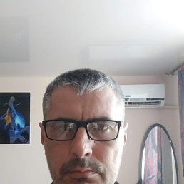 ������, 53 ����, ���������