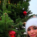 ���� �������, ������, 29 ��� - ��������� 7 ������ 2026 � ������ ���� ����������