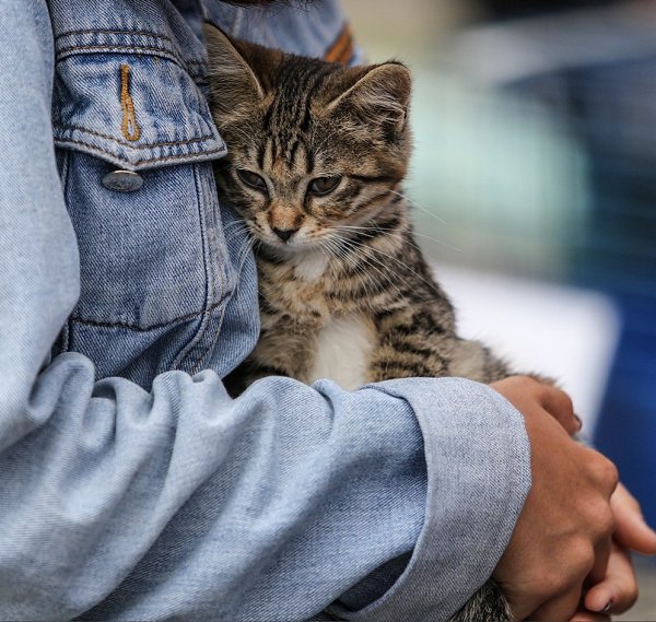 � ������� ���� ���� � ���� ����. � �������� ����� ������� � ������ - ��������� ����� �� �������... - 2