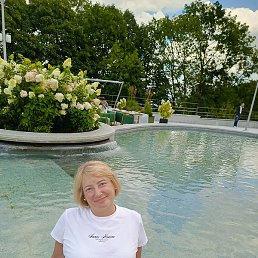 ��������, ������ ��������, 53 ����