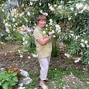 ���� �������, ����, 71 ��� - ��������� 25 ������� 2023