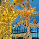 ���� �����, ������, 53 ���� - ��������� 21 ��� 2024 � ������ ���� ����������