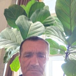 , 59 , 