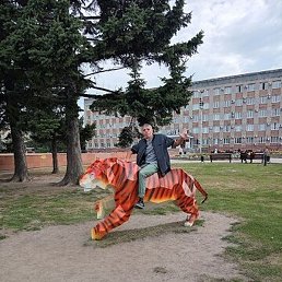 �����, ���������, 35 ���