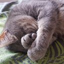 ���� �������, ������ - ��������� 29 ������� 2023 � ������ ���� ����������