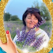 , 51 , 