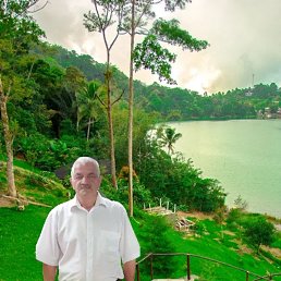 , 50, 