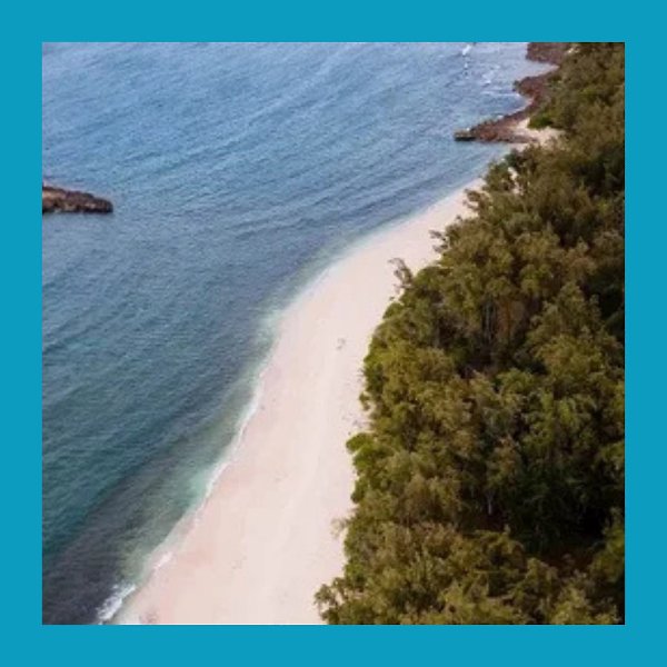 80-    .  60-  Coral Adventurer   ... - 3