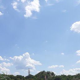 , 58, 