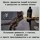 ���� ���, �������, 33 ���� - ��������� 23 ������� 2025 � ������ ���� ����������