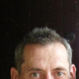 , 55, 
