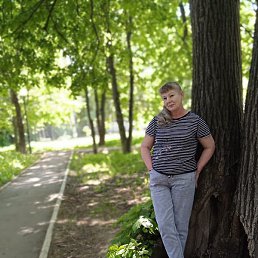 ������, ����, 61 ���