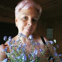 ���� �������, �����-��������� - ��������� 5 ���� 2025 � ������ ���� ����������