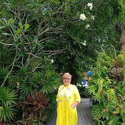 �����, ��������