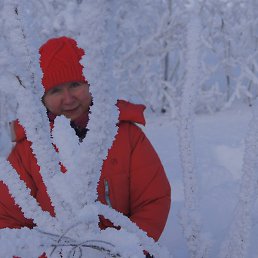 ��������, ������ ��������, 63 ����