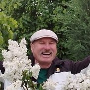 , 60 , 