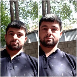 , 37, 