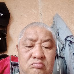 , 53, 