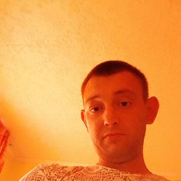 , 33, 
