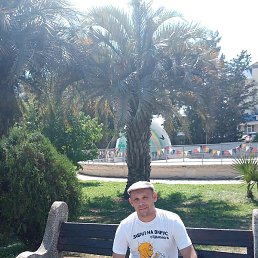 ����, �������, 43 ����