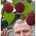 ���� �����, �������, 46 ��� - ��������� 19 ������� 2025