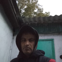 , 41, 