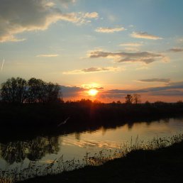 �������, ���, 38 ���