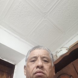 , 53 , 