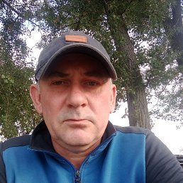 , 43, 