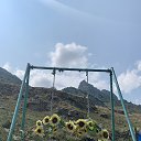 ���� ���������, ���������� - ��������� 4 ������� 2025 � ������ ������ ��������