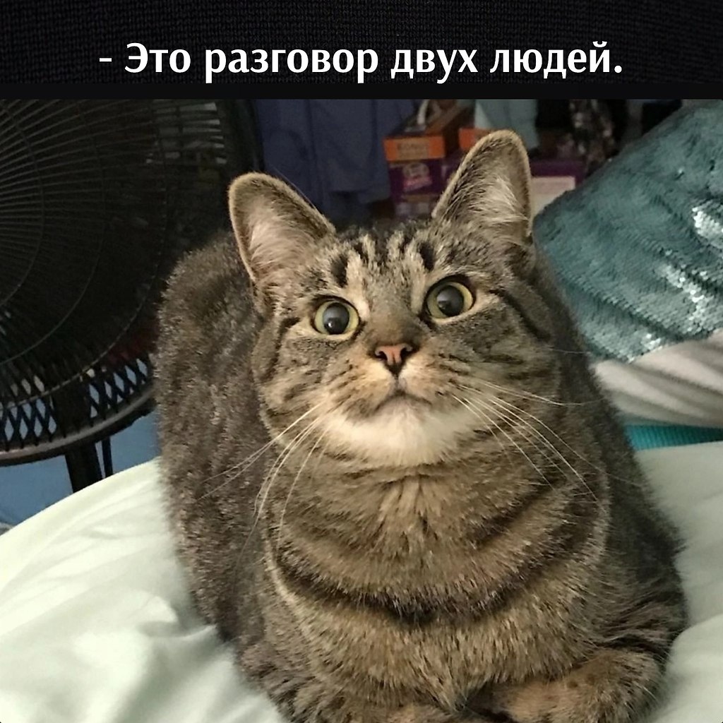 ��� ���� � ����� �� �� - 25 ������� 2026 � 16:00 - 2