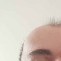 ���� �������, ������, 36 ���