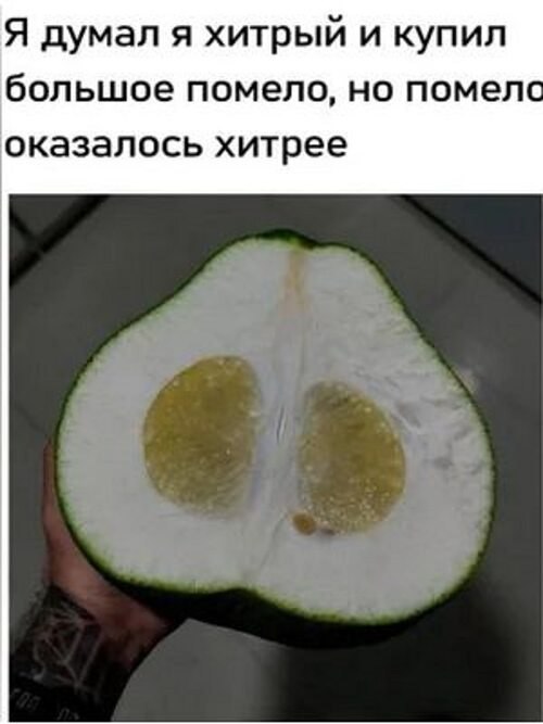 �� ����� ������! - 24 ������� 2026 � 23:38