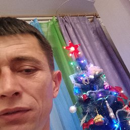 ����, 41 ���, ����