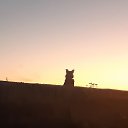 ���, ��� ������ ����... �� ������� ���� ����������