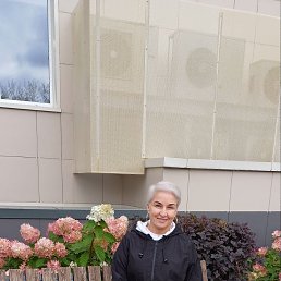 , 54, 