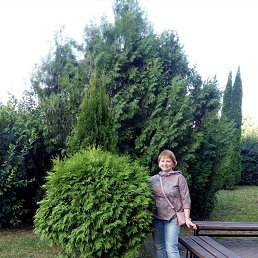 , 56, -