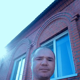 , 40, 