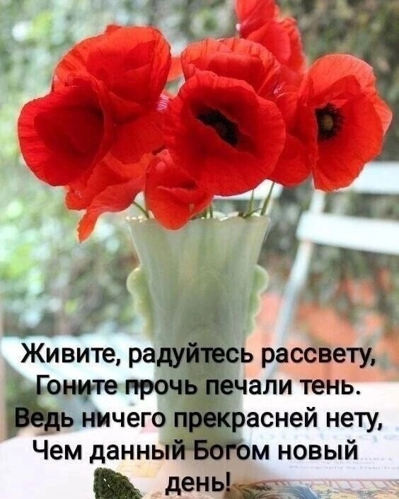  - 12  2024  06:39