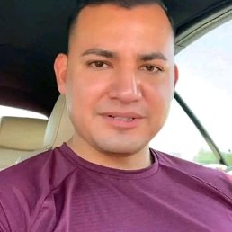   , 41, 
