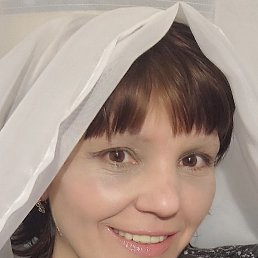 ����, ������, 47 ���