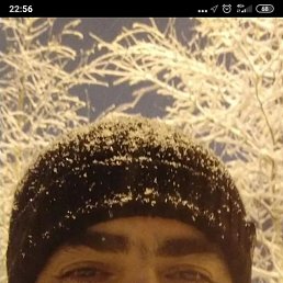 , 46, 