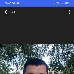 , 41, 