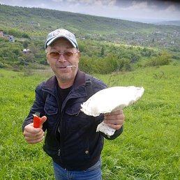 , 46, 