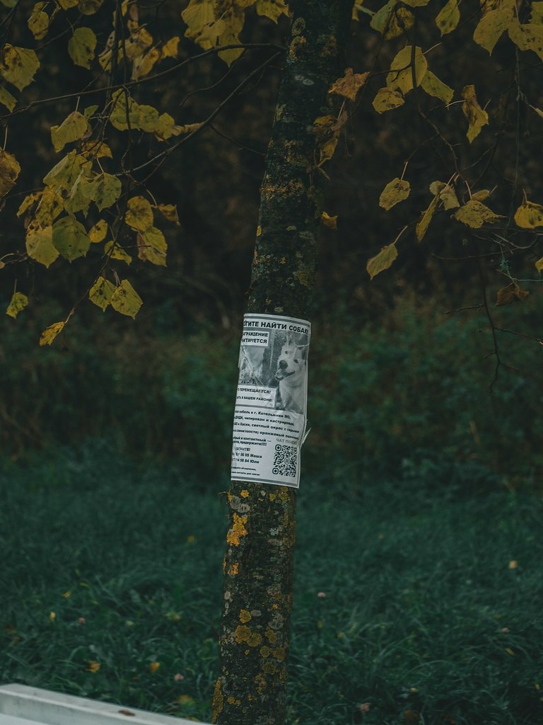 ������� ��������� ������� ������� - 4