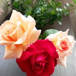 ���� �������, ���������� - ��������� 16 �������� 2025