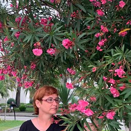 , 49, 