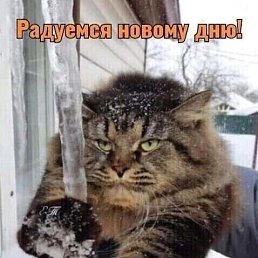 ���� �������, �����-���������, 65 ��� - ��������� 31 ������ 2024